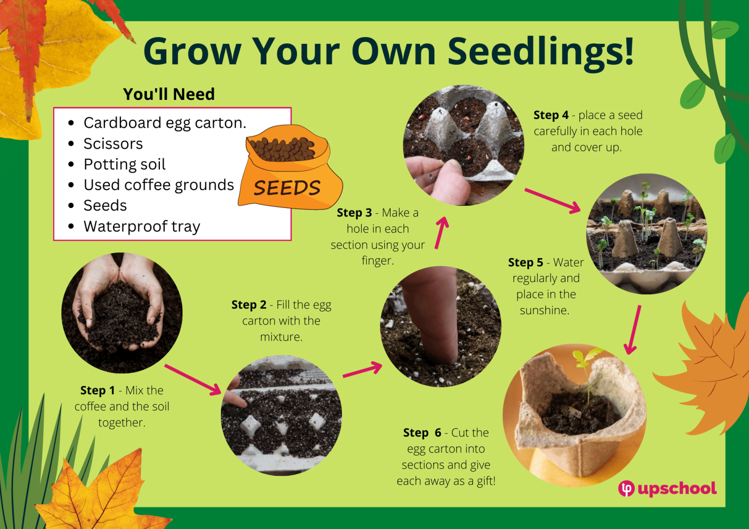 How to Grow Seedlings – Upschool.co – Resource Centre