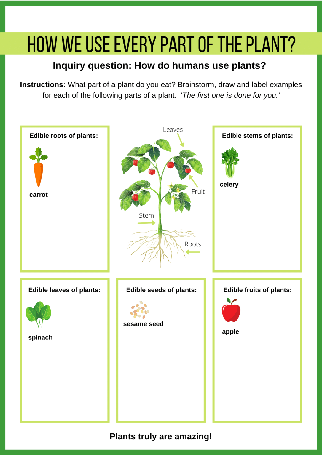 how-we-use-every-part-of-the-plant-upschool-co-resource-centre