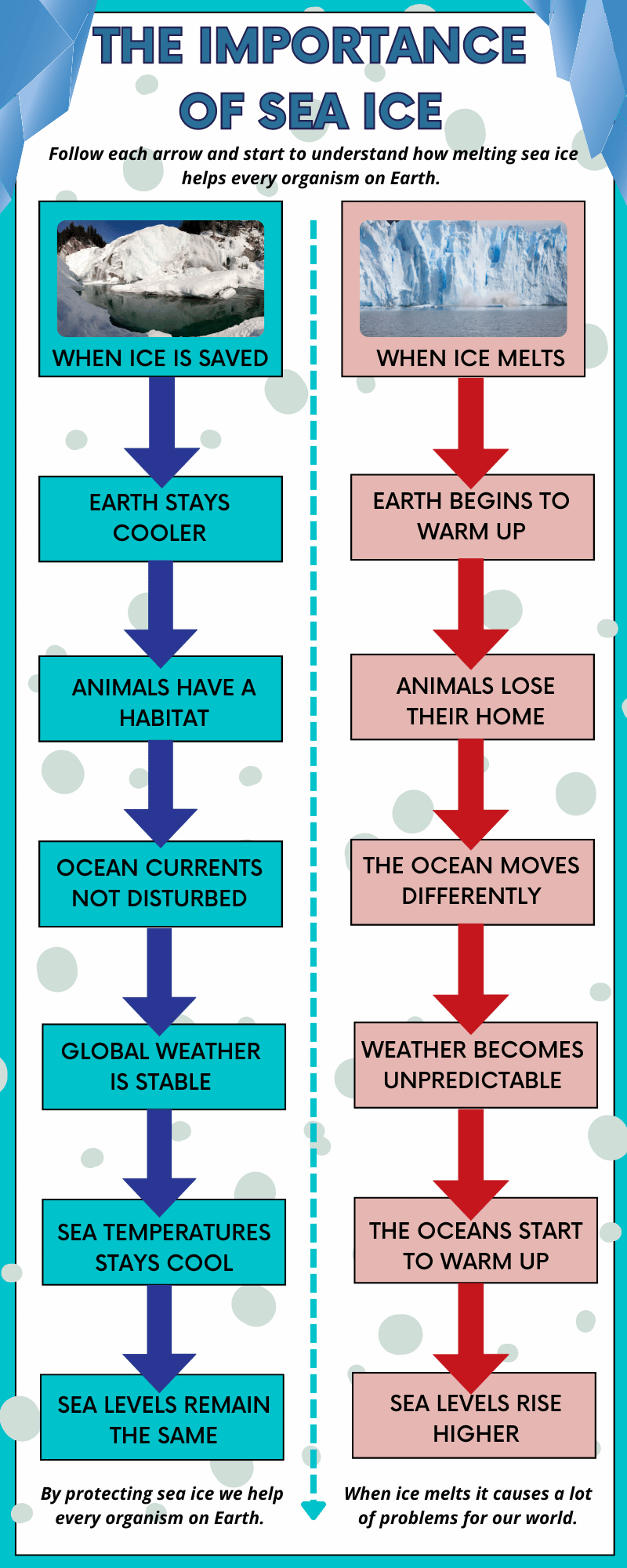 The Importance of Sea Ice Upschool.co Resource Centre