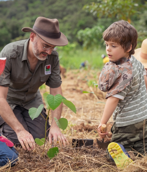 Rainforest Rescue Community Tree Planting