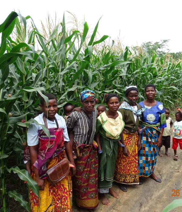 Farming Group by maize field