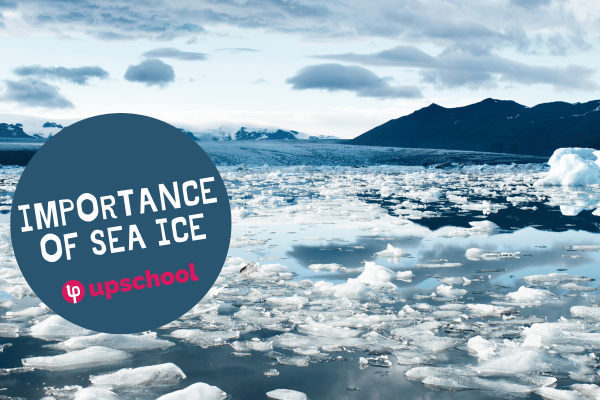 Importance of Sea Ice
