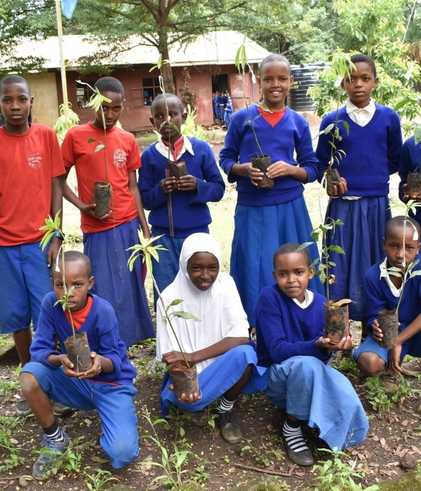 Students-at-Mwikantsi-School-with-mango-seedlings-Shamba-Letu-3-Upschool